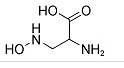 D,L-2-AMINO-3-(HYDROXYAMINO)PROPIONIC ACID